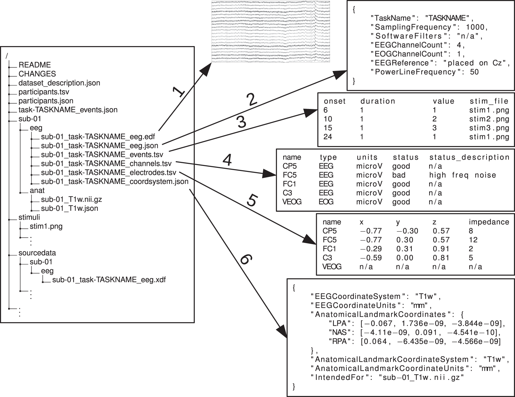 Schematic of EEG BIDS from the paper mentioned above.